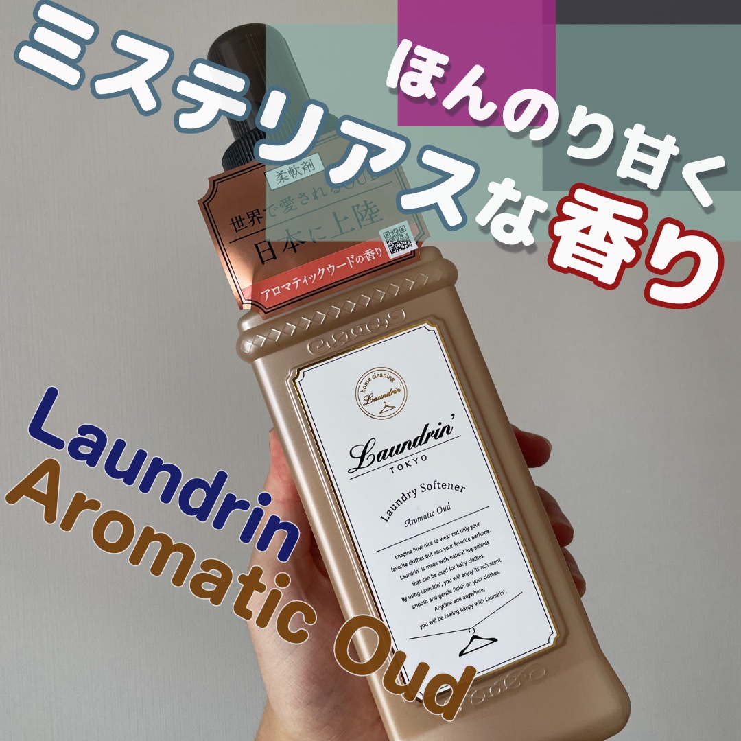 (まとめ) ネイチャーラボ ランドリン 柔軟剤 アロマティックウード 本体 600ml 1本 〔×10セット〕 送料無料柔軟剤 3倍 詰替セット アロマティックウード 1440mL×3個