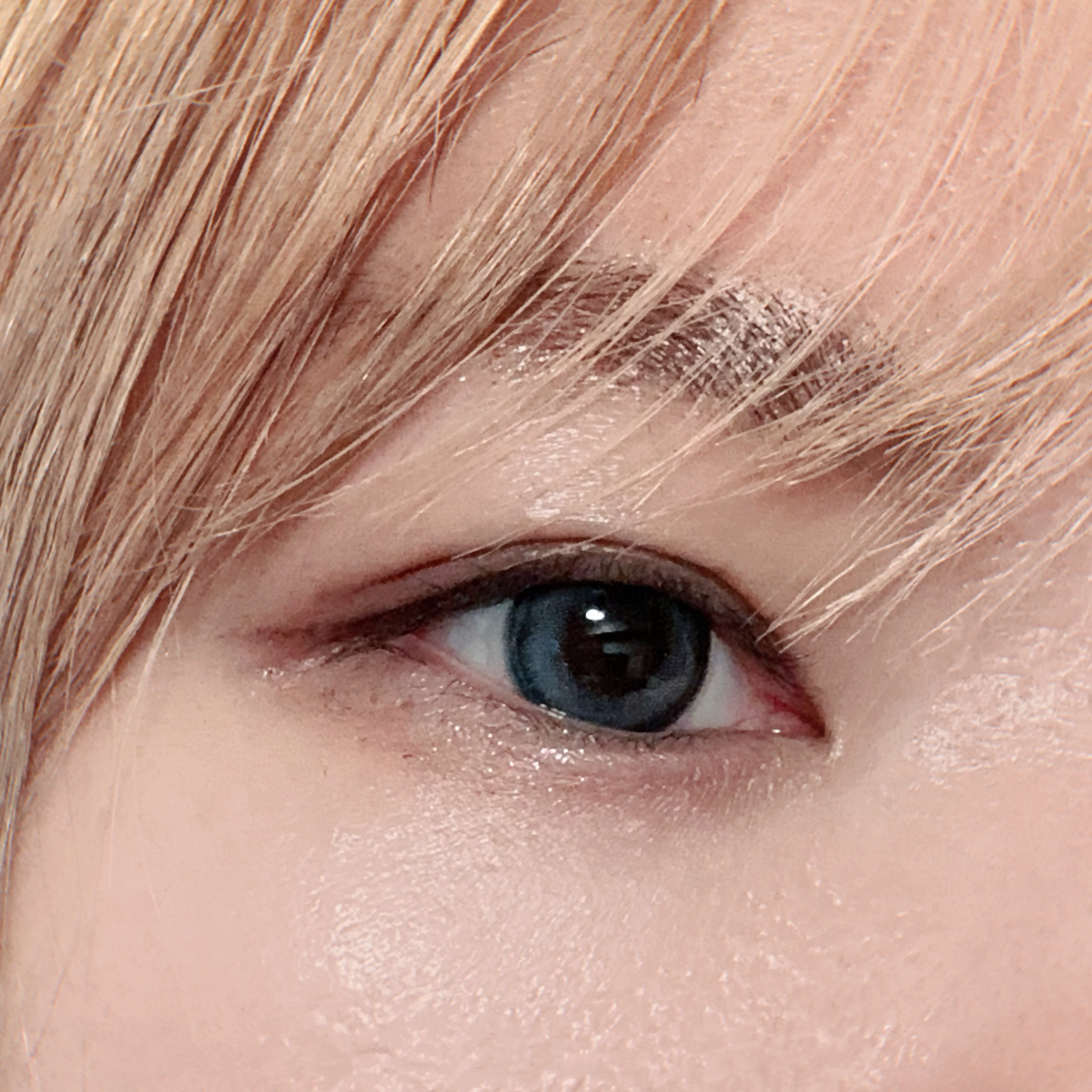 Angelcolor Bambi Series 1day /AngelColor/ワンデー（１DAY）カラコンを使ったクチコミ（1枚目）