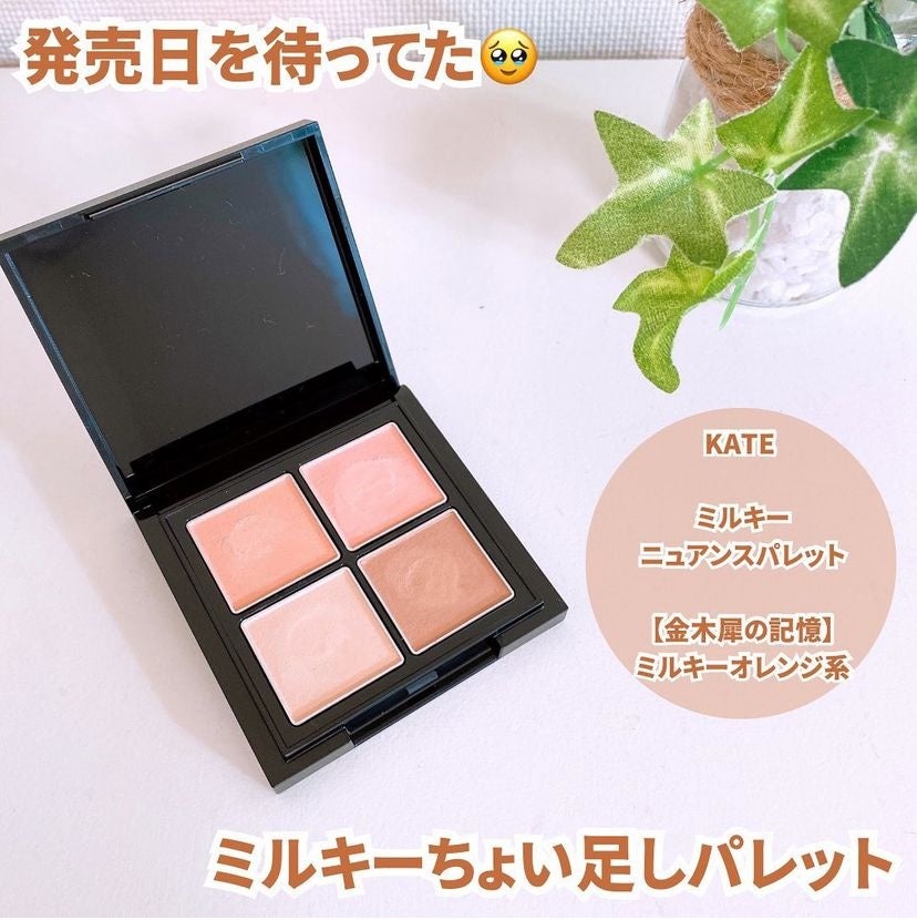 シルキースフレアイズ(マットタイプ)/キャンメイク/アイシャドウパレットを使ったクチコミ(4枚目)