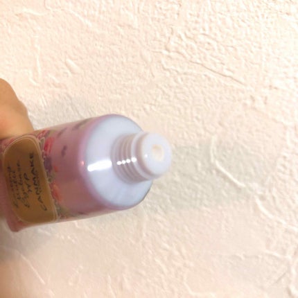 ラスティングマルチアイベース WP/キャンメイク/アイシャドウベースを使ったクチコミ(2枚目)