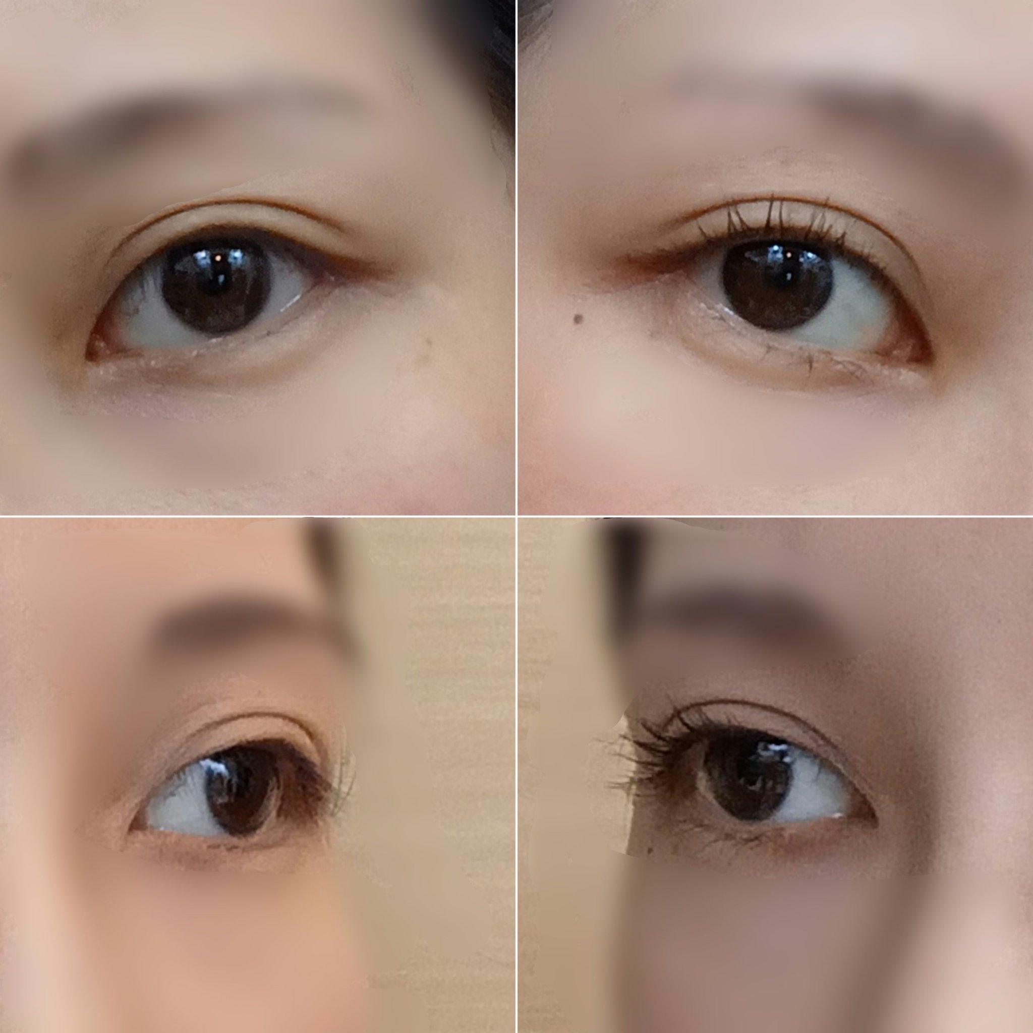 ラッシュニスタ　プライマー/MAYBELLINE NEW YORK/マスカラ下地を使ったクチコミ（3枚目）