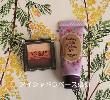 UR GLAM　GRADATION EYESHADOW/U R GLAM/パウダーアイシャドウを使ったクチコミ（3枚目）