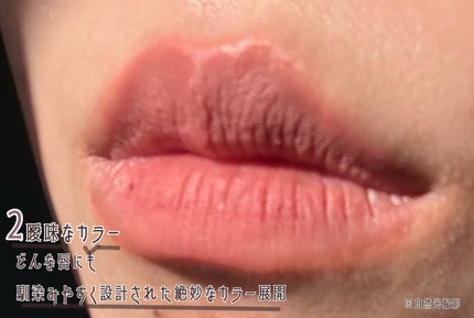 リップモンスター スフレマット/KATE/口紅を使ったクチコミ(3枚目)