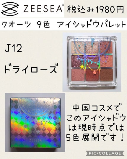 クォーツ 9色アイシャドウパレット(ドリームランドアイシャドウ)/ZEESEA/アイシャドウパレットを使ったクチコミ(2枚目)