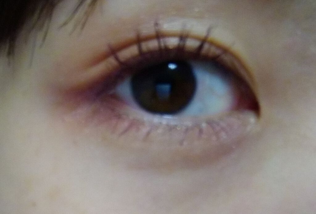 ニュアンスオンアイシャドウ/CEZANNE/アイシャドウパレットを使ったクチコミ（3枚目）