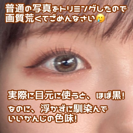 スキルレスライナー/LUMIURGLAS/リキッドアイライナーを使ったクチコミ(4枚目)