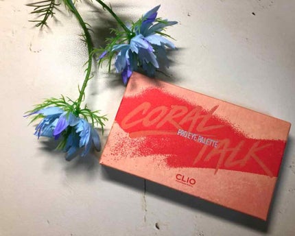 プロ アイ パレット/CLIO/アイシャドウパレットを使ったクチコミ(2枚目)