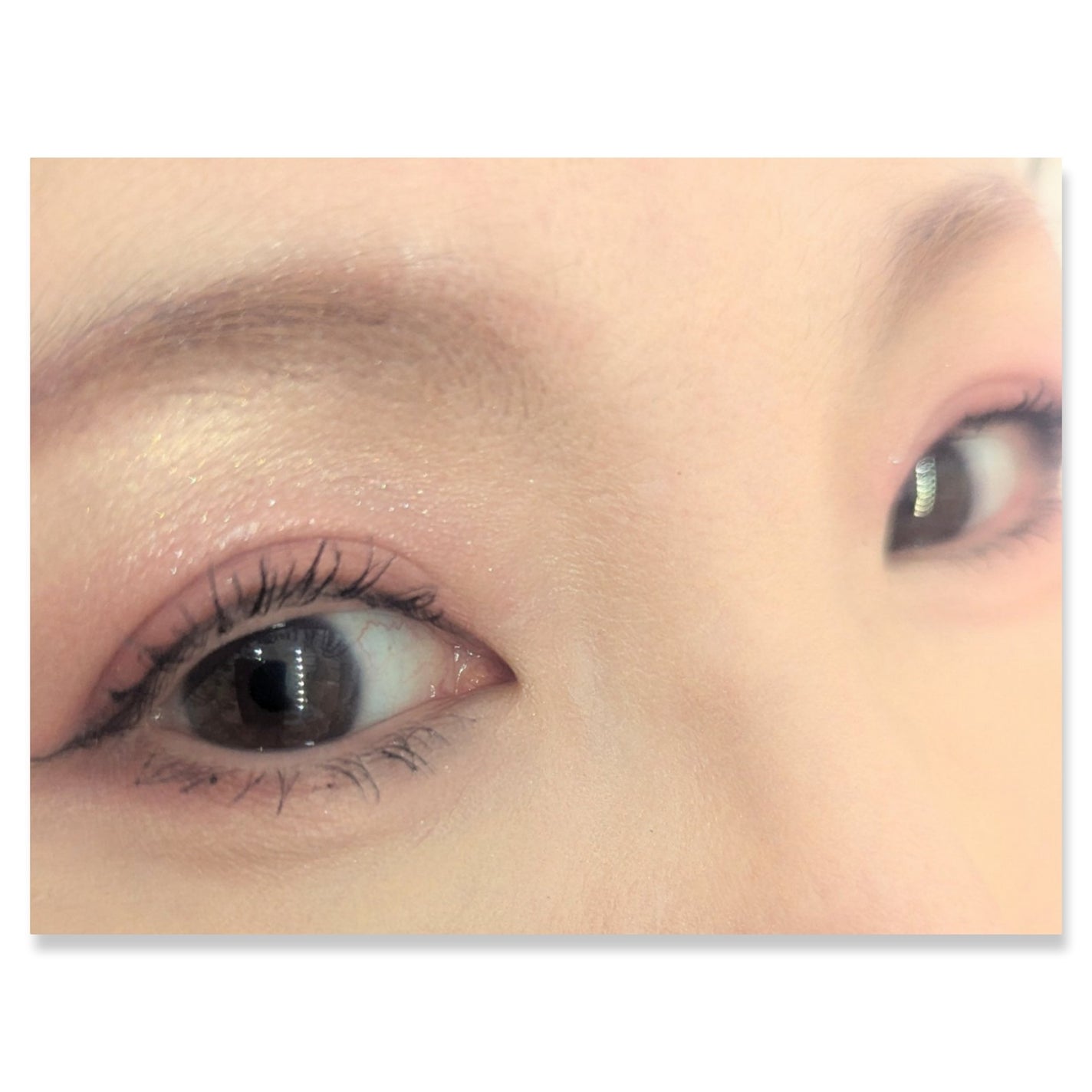 パーフェクトマルチアイズ/キャンメイク/アイシャドウパレットを使ったクチコミ(2枚目)