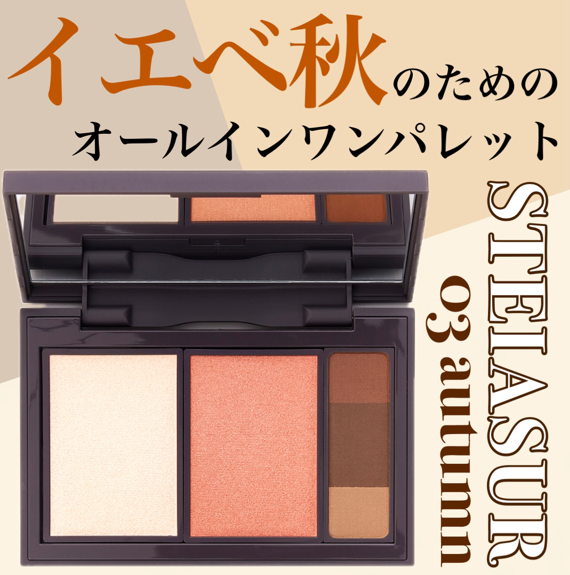 フィット my カラーパレット 03 autumn/STEIASUR（ステイアシュール）/マルチパレットを使ったクチコミ（1枚目）