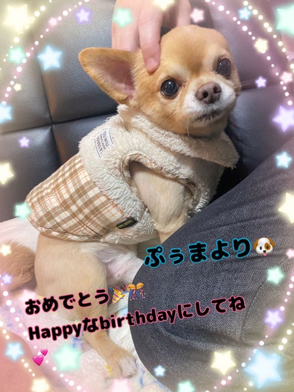 カラフルネイルズ/キャンメイク/マニキュアを使ったクチコミ(5枚目)