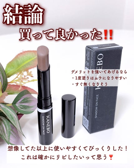 シャドウオンフェース/KANEBO/シェーディングを使ったクチコミ(8枚目)