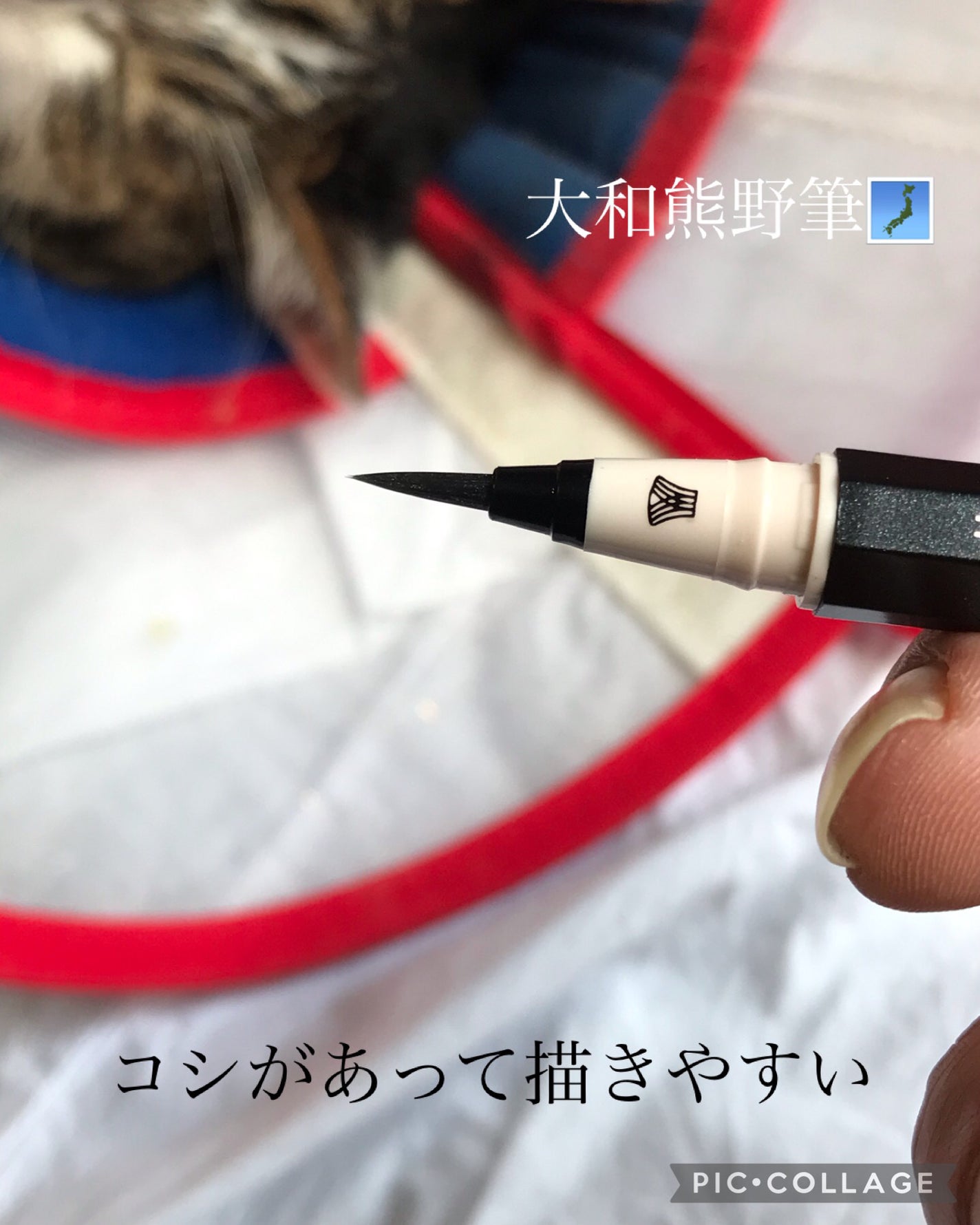 7 SHADES OF BLACK/UZU BY FLOWFUSHI/リキッドアイライナーを使ったクチコミ(3枚目)