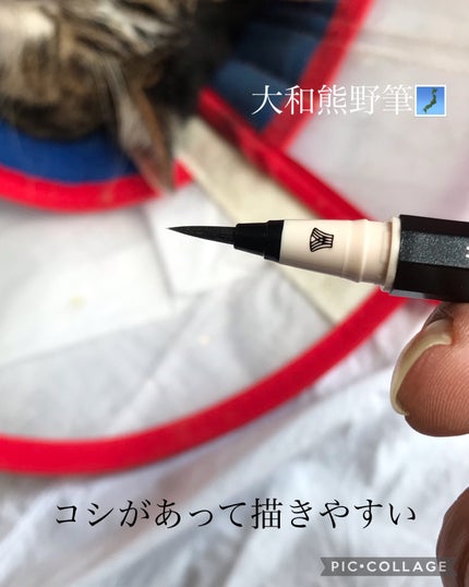 7 SHADES OF BLACK/UZU BY FLOWFUSHI/リキッドアイライナーを使ったクチコミ(3枚目)