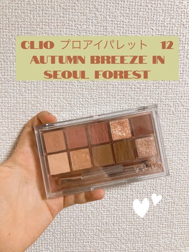 プロ アイ パレット/CLIO/パウダーアイシャドウを使ったクチコミ（3枚目）