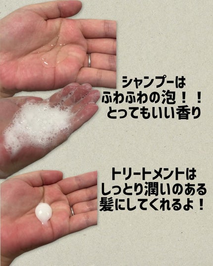 シンクロシャンプー ファム DAMAGE REPAIR/シンクロトリートメント DAMAGE REPAIR/ELECTRON/市販シャンプーを使ったクチコミ(2枚目)