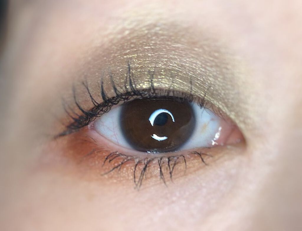 パンプキン スパイス アイシャドウ パレット(旧)/Too Faced/アイシャドウパレットを使ったクチコミ（2枚目）