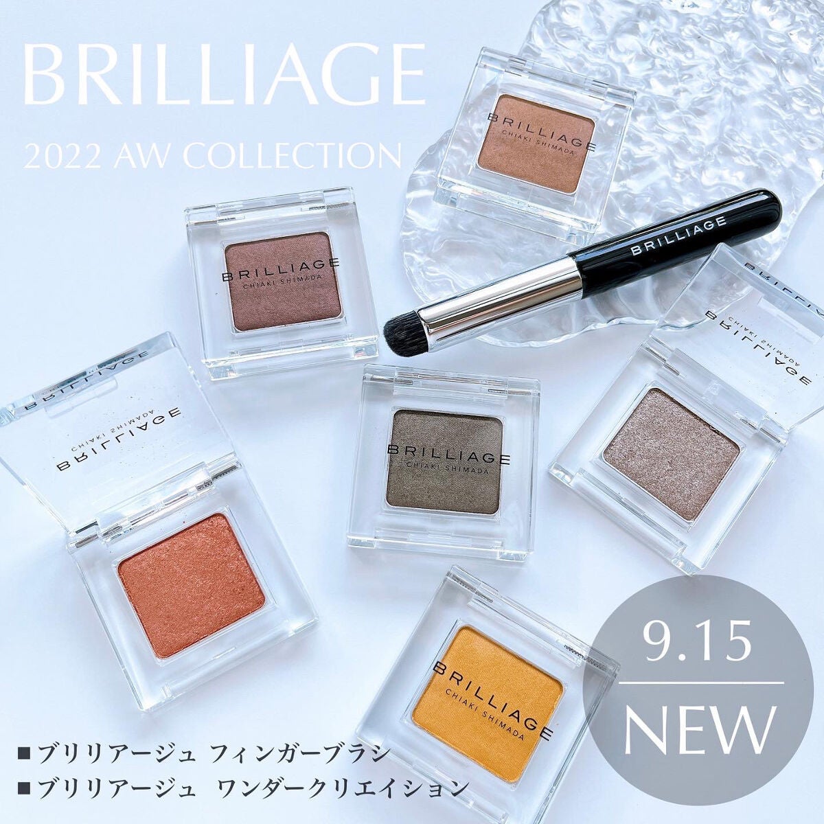 ワンダークリエイション /ブリリアージュ/単色アイシャドウを使ったクチコミ(1枚目)