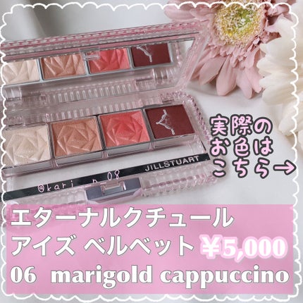 エターナルクチュール アイズ ベルベット 06 marigold cappuccino(限定色)/JILL STUART/アイシャドウパレットを使ったクチコミ(2枚目)