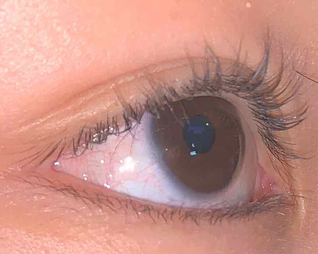 クイックラッシュカーラー/キャンメイク/マスカラ下地を使ったクチコミ(1枚目)