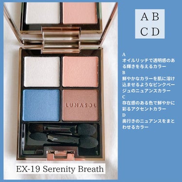 アイカラーレーション EX19 Serenity Breath（限定発売）/LUNASOL/アイシャドウパレットを使ったクチコミ（2枚目）