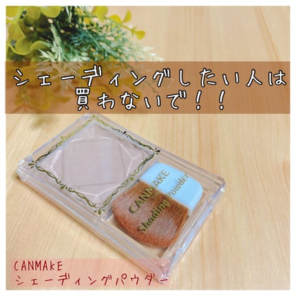 シェーディングパウダー/キャンメイク/シェーディングを使ったクチコミ(1枚目)