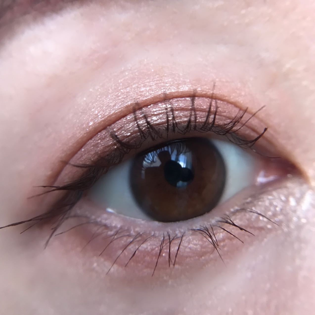 アイパレット/sopo/アイシャドウパレットを使ったクチコミ(4枚目)