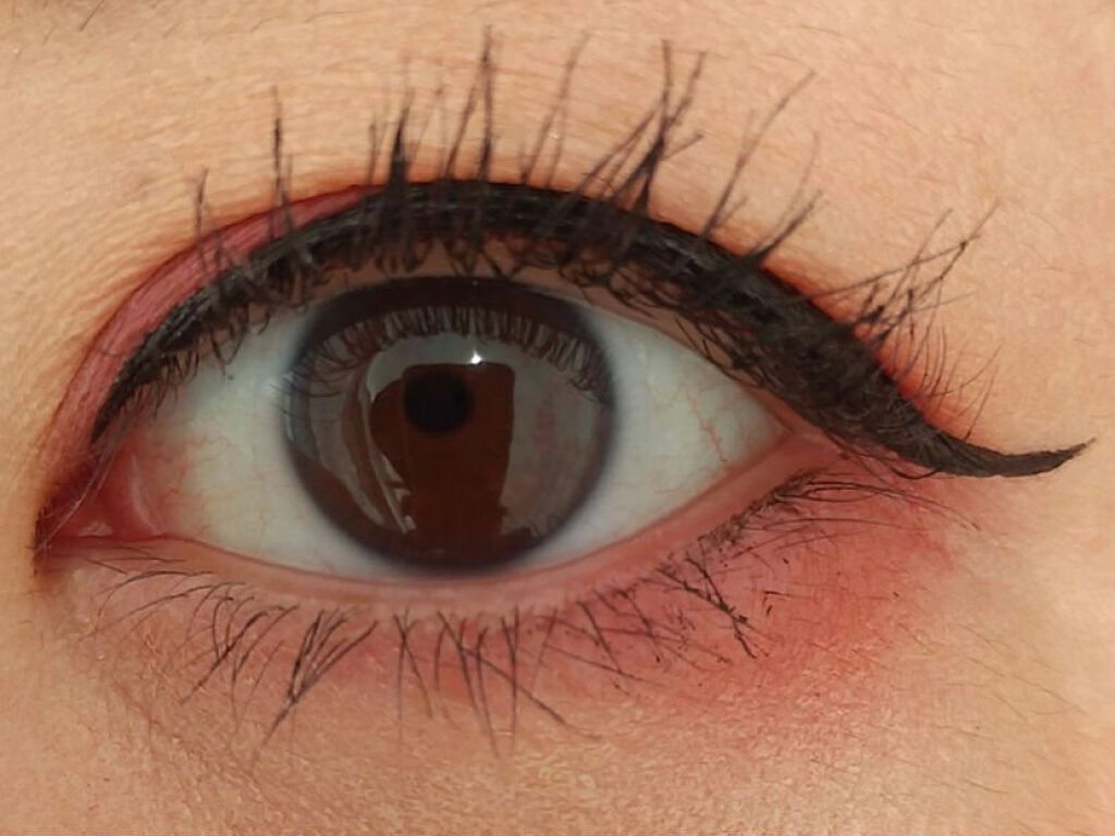 シナモン ベア メイクアップ コレクション/Too Faced/アイシャドウパレットを使ったクチコミ（3枚目）