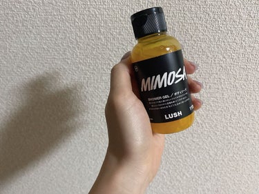 LUSH mimosa





ラッシュのボディーソープ（シャワージェル）


市販のボディーソープは泡立ちが凄くいいし、価格は抑えられるけど肌が敏感なときにたまにヒリついたりするな〜と思っているあな