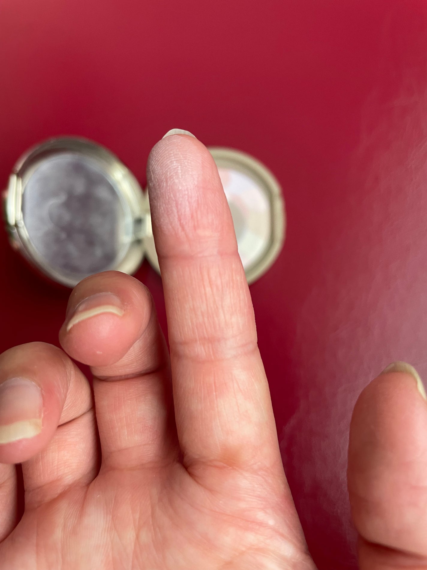 マシュマロフィニッシュパウダー ~Abloom~/キャンメイク/プレストパウダーを使ったクチコミ(2枚目)