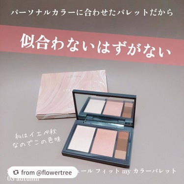 【flowertreeさんから引用】

“STEIASUR ステイアシュール フィット my カラーパレット
03 autumn
✨✨✨✨✨

パーソナルカラーに合わせたパレットだから似合わないわけがな