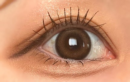 シャドウパレット/dasique/アイシャドウパレットを使ったクチコミ(5枚目)