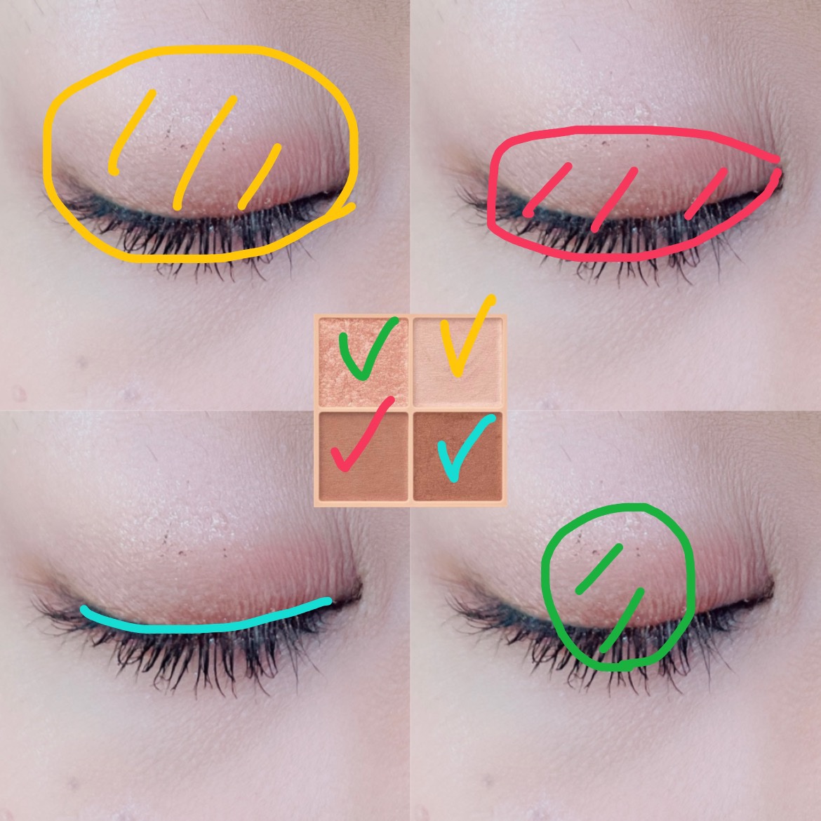 ベージュトーンアイシャドウ/CEZANNE/アイシャドウパレットを使ったクチコミ（2枚目）