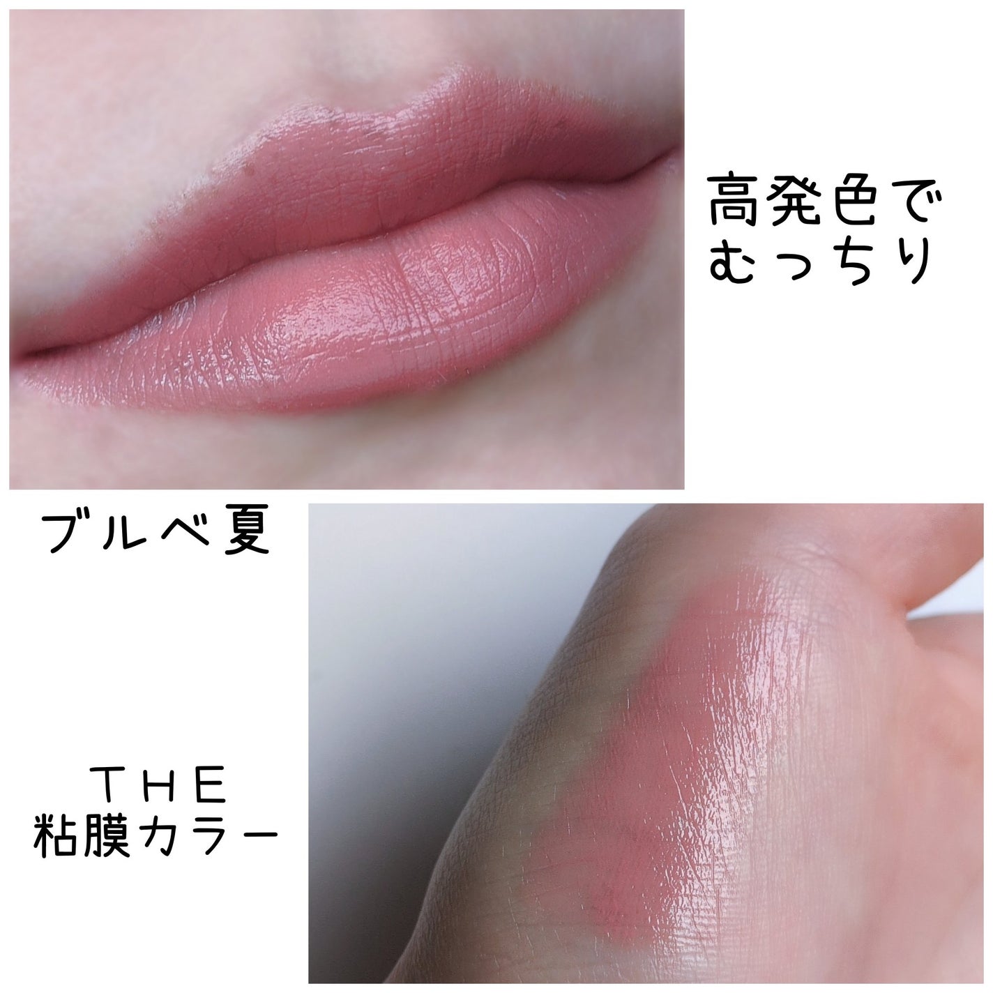 ネンマクフェイク ルージュ/Visée/口紅を使ったクチコミ(2枚目)