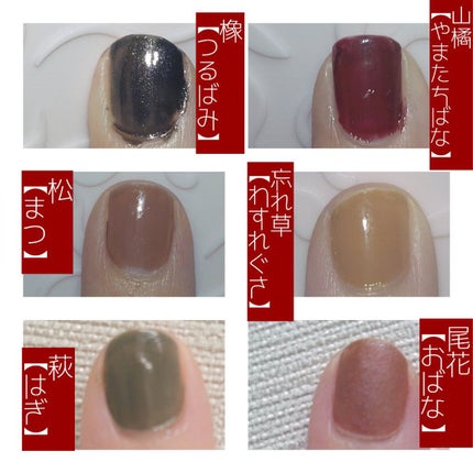 ミニネイル/パラドゥ/マニキュアを使ったクチコミ(2枚目)