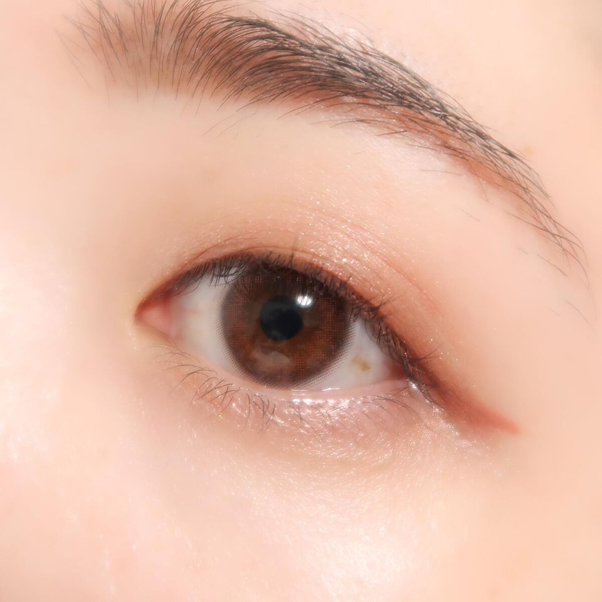 eyeshadow/SLN/単色アイシャドウを使ったクチコミ（3枚目）