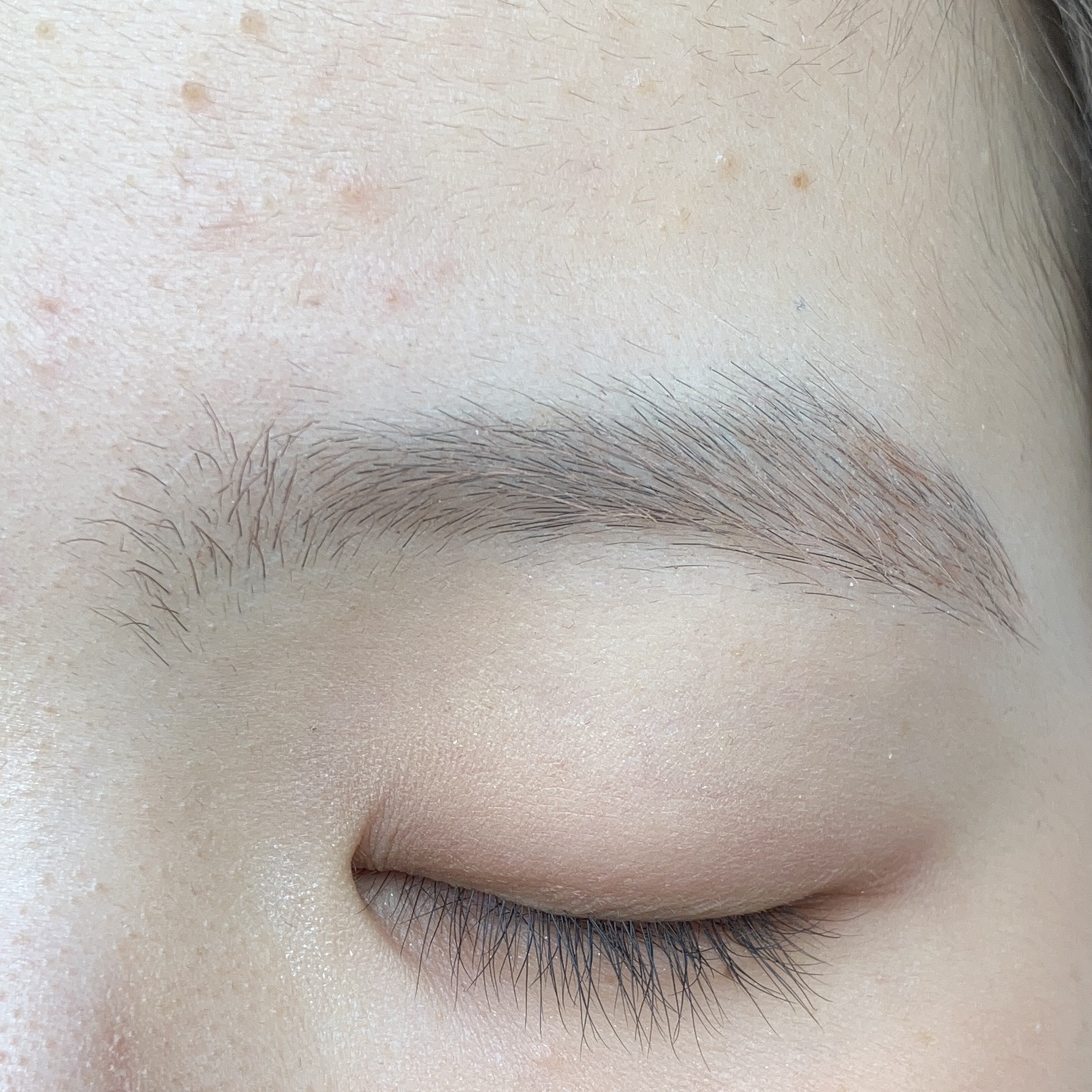 ヘビーローテーション カラーリングアイブロウEX/ヘビーローテーション/眉マスカラを使ったクチコミ（3枚目）