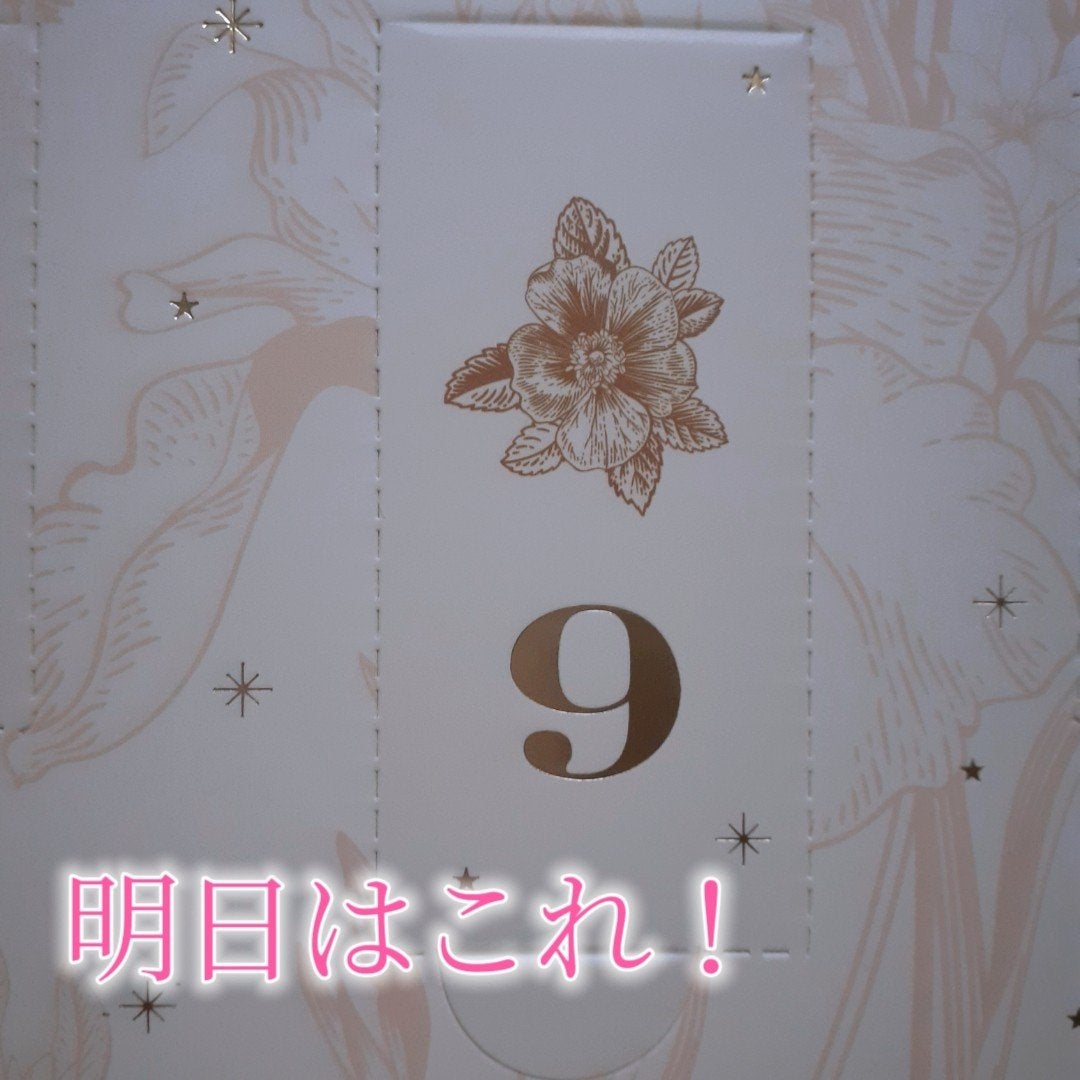 鈴花 on LIPS 「8日目!PEACHJOHNのアドベントカレンダー今年、色んなコ..」(4枚目)