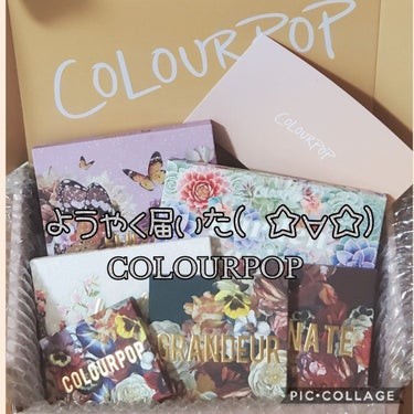  ワイルドナッシング/ColourPop/アイシャドウパレットを使ったクチコミ（1枚目）