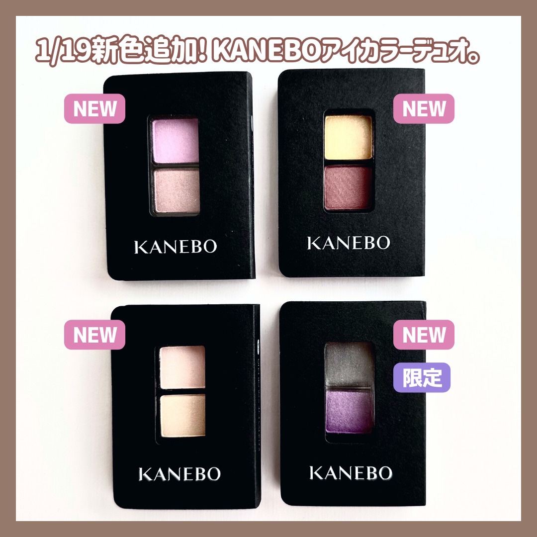 カネボウ アイカラーデュオ 22 Lotus Breeze/KANEBO/アイシャドウパレットを使ったクチコミ（2枚目）