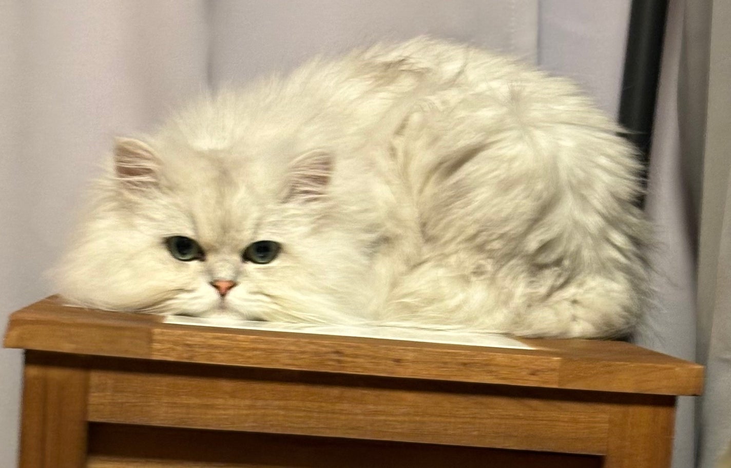 薬用ブライトニング化粧水/無印良品/化粧水を使ったクチコミ(3枚目)