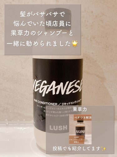 ラッシュ 菜のクチコミ「LUSH
リキッドコンディショナー 菜
250g ¥2,180

傷んだ髪を潤してしっとりサラ.....」（3枚目）