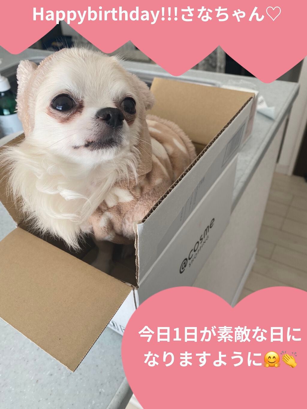 カラフルネイルズ/キャンメイク/マニキュアを使ったクチコミ(5枚目)