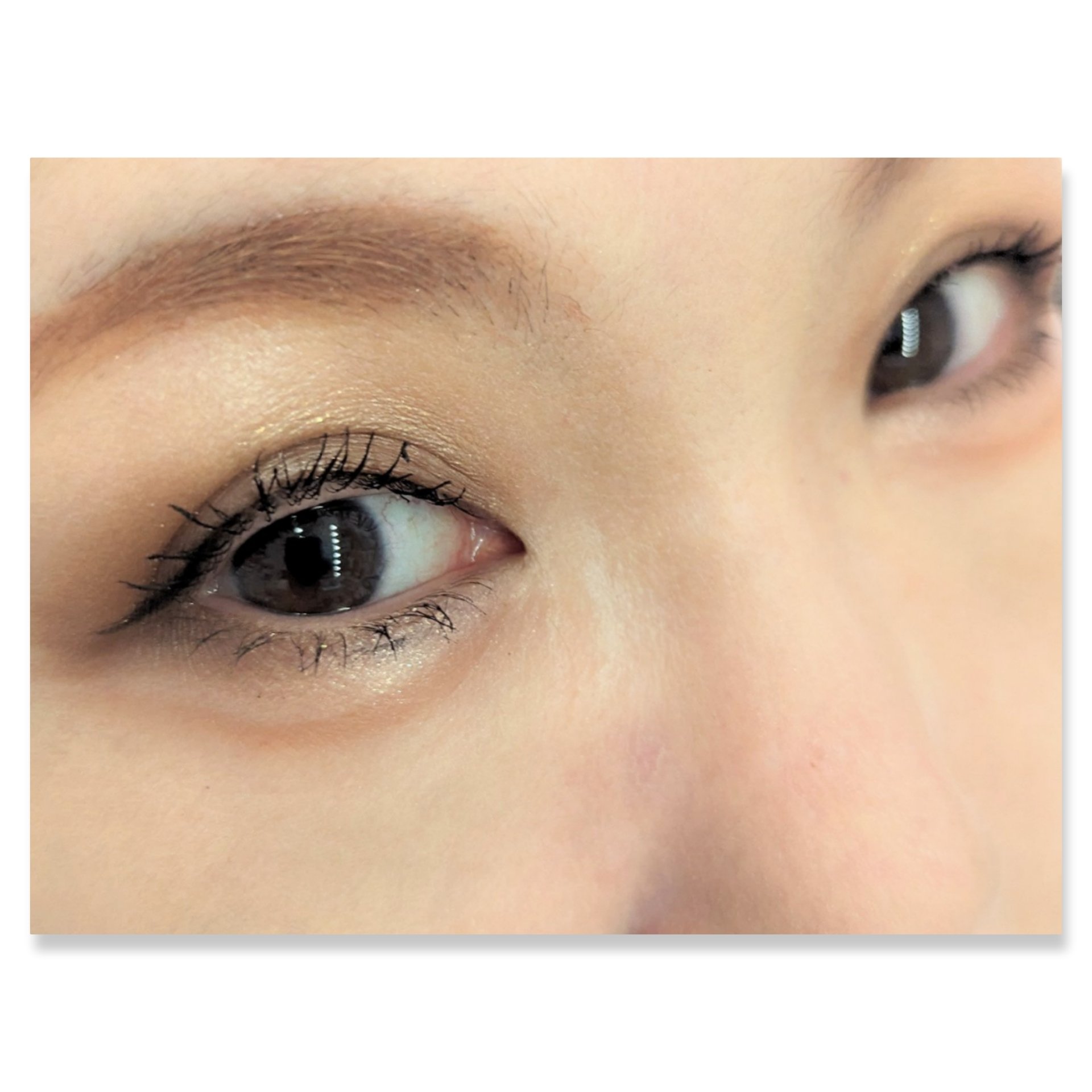 パノラマデザイン アイパレット BR-1 ベージュブラウン/Visée/アイシャドウパレットを使ったクチコミ（2枚目）