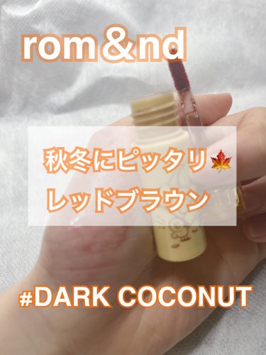 ジューシーラスティングティント 20 ダークココナッツ(DARK COCONUT)/rom&nd/口紅の画像