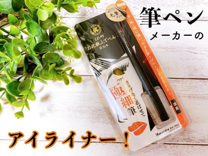 お化粧ふでぺん 目元用 毛筆極細/くれ竹 /リキッドアイライナーを使ったクチコミ(1枚目)
