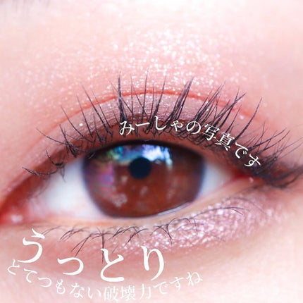 アイ カラー クォード/TOM FORD BEAUTY/アイシャドウパレットを使ったクチコミ(5枚目)