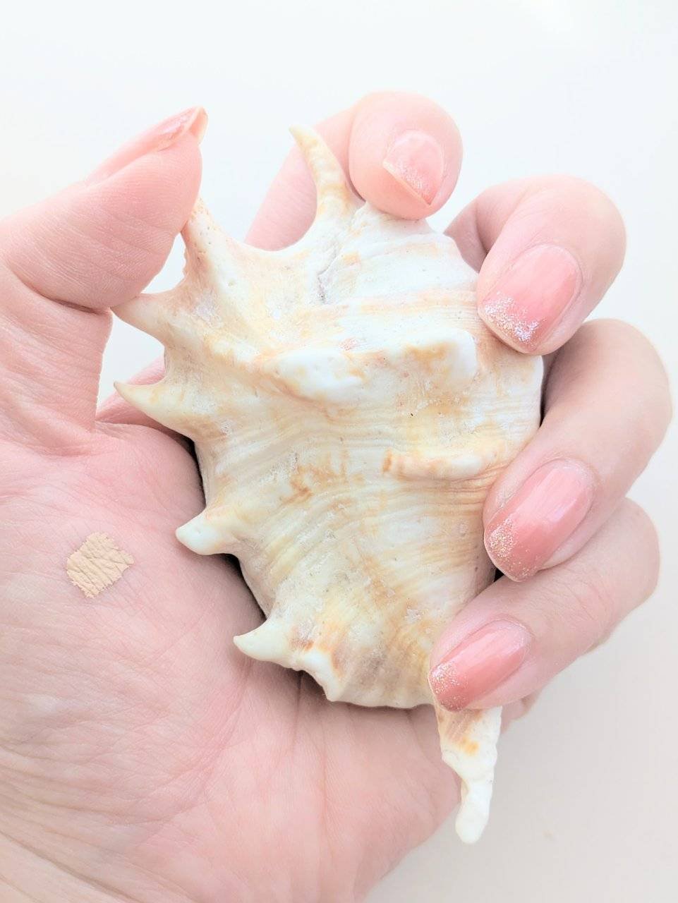 カバーパーフェクション チップコンシーラー 1.5 ナチュラルベージュ/the SAEM/リキッドコンシーラーを使ったクチコミ（3枚目）