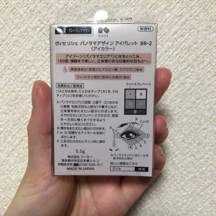 パノラマデザイン アイパレット/Visée/アイシャドウパレットを使ったクチコミ(4枚目)