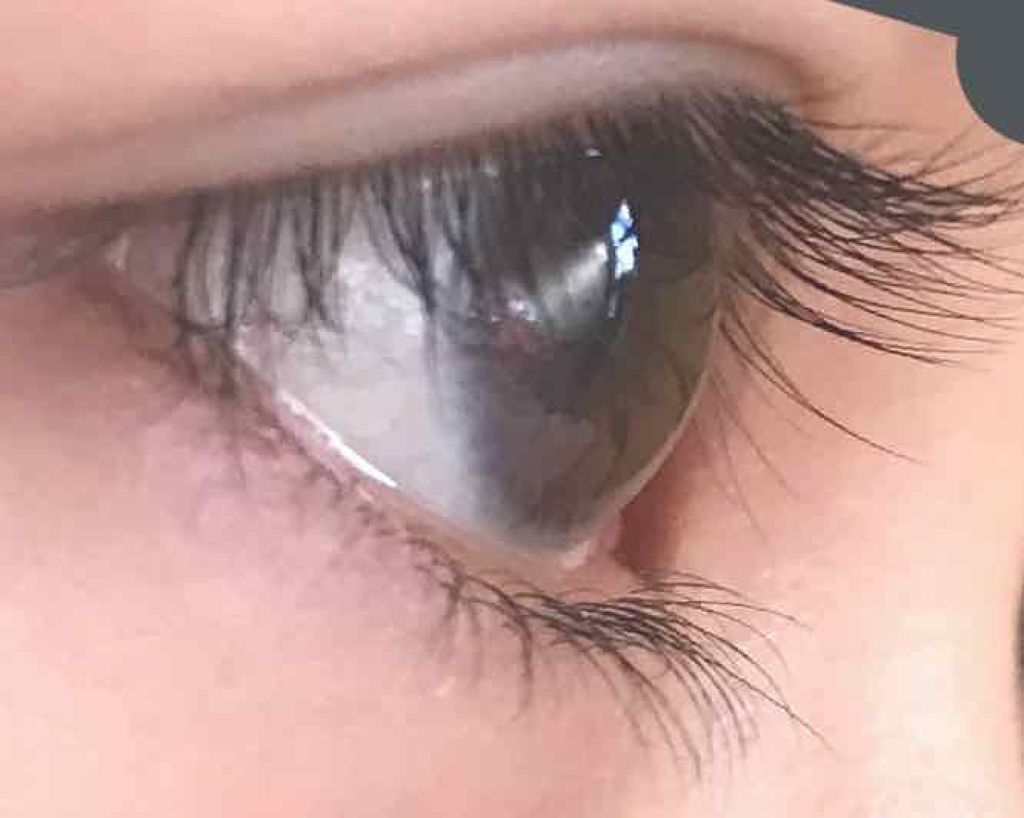 ラッシュジェリードロップ EX/MAJOLICA MAJORCA/まつげ美容液を使ったクチコミ(1枚目)