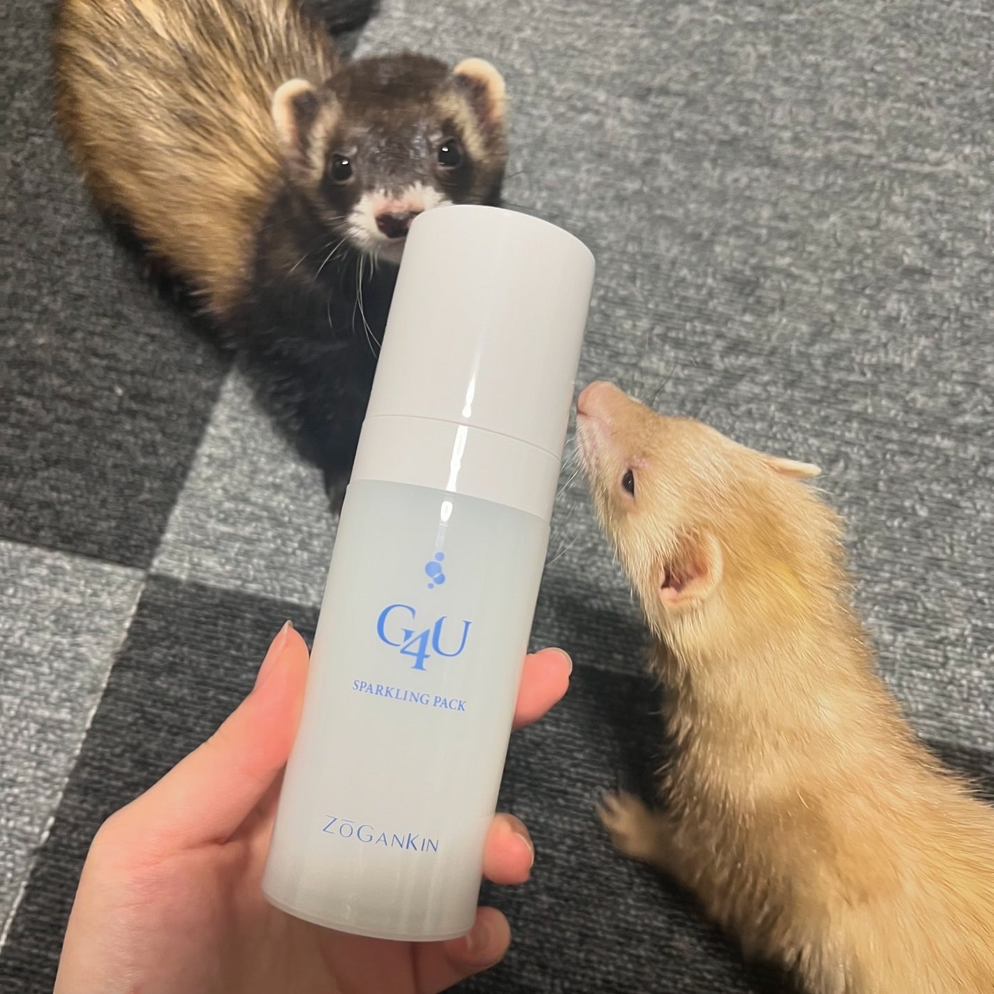 G4Uスパークリングパック/G4U/洗い流すパック・マスクを使ったクチコミ(6枚目)